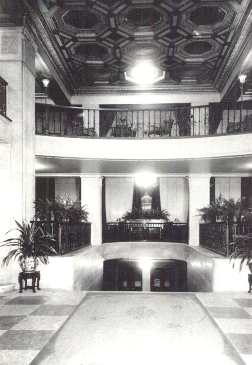 Hotel Lobby Plants. hotel lobby